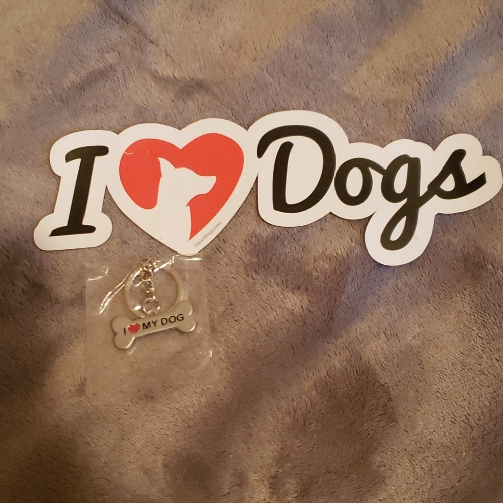 Magnet and keychain